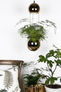 Globen Lighting - Fönsterlampa Planter - Mässing - Fönsterlampor - Från Homeroom