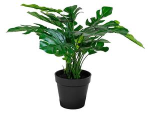 House Nordic - Konstgjord växt Monstera. Växt av PE plast. Ø 40 cm. - Grön - Konstgjorda växter - Från Homeroom
