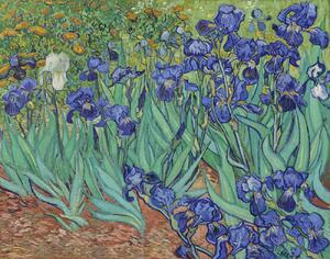 Gogh, Vincent van - Konsttryck Irises, 1889, (40 x 30 cm)