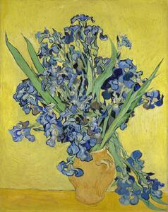 Vincent van Gogh - Bildreproduktion Irises, 1890, (30 x 40 cm)