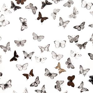 Tapet Mimou Butterfly White/Black