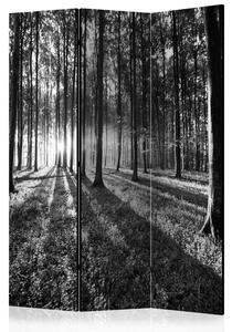 Rumsavdelare / Skärmvägg - Grey Wilderness - 135x172