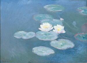 Monet, Claude - Konsttryck Waterlilies, Evening, (40 x 30 cm)