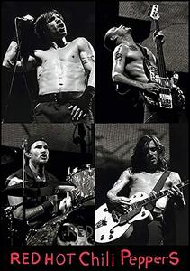Poster, Affisch Red hot chili peppers Live, (61 x 91.5 cm)