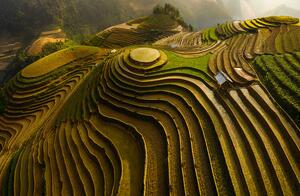 Fotografi Mu Cang Chai Vietnam, Dao Tan Phat