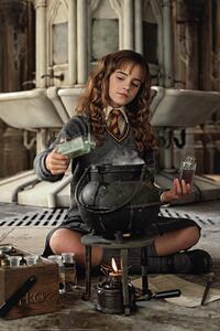 Poster, Affisch Harry Potter - Hermione Granger