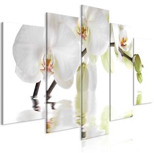 Canvas Tavla - Wonderful Orchid (5 delar) Wide - 200x100