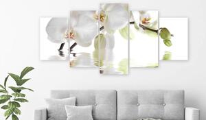 Canvas Tavla - Wonderful Orchid (5 delar) Wide - 100x50