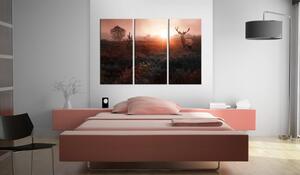 Canvas Tavla - Deer in the Sunshine I - 90x60