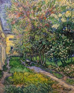 Bildreproduktion The garden at the asylum at Saint-Rémy (1889), Vincent van Gogh