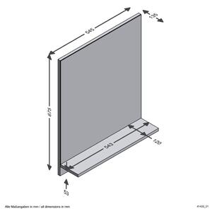 FMD Väggmonterad spegel med hylla 54,5x13,5x67,5 cm ek