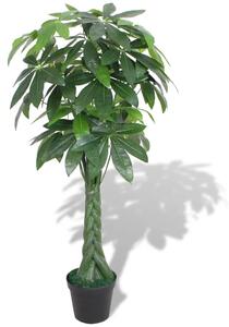 Konstväxt Pengaträd (Pachira aquatica) med kruka 145 cm grön