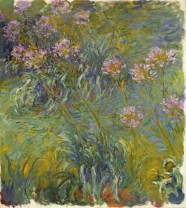 Claude Monet - Konsttryck Agapanthus, 1914-26, (35 x 40 cm)