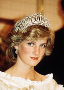 Fotografi In memory of Princess Diana, Anwar Hussein