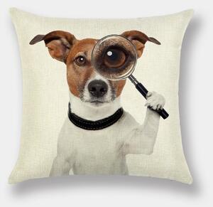 Kuddfodral 50 x 50 cm (Storlek: 50 x 50 cm)