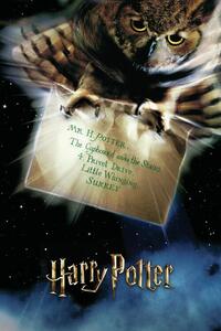 Konsttryck Harry Potter - Hedwig