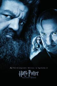 Konsttryck Harry Potter - Hagrid & Lupin