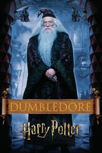 Konsttryck Harry Potter - Dumbledore, (26.7 x 40 cm)