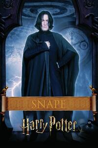 Konsttryck Harry Potter - Snape, (26.7 x 40 cm)