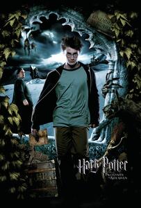 Konsttryck Harry Potter - Harry, (26.7 x 40 cm)
