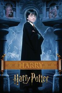 Konsttryck Harry Potter - Harry, (26.7 x 40 cm)