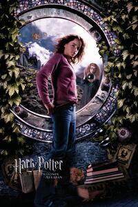 Konsttryck Harry Potter - Hermione, (26.7 x 40 cm)