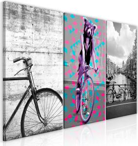 Canvas Tavla - Bikes (Collection) - 60x30
