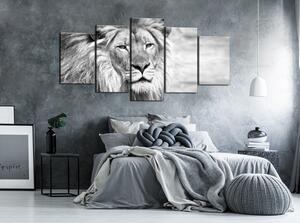 Canvas Tavla - The King of Beasts (5 delar) Wide Black and White - 100x50