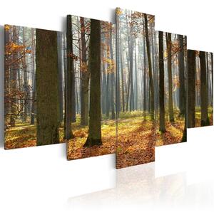 Canvas Tavla - A nice forest landscape - 200x100