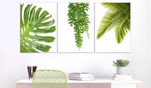 Canvas Tavla - Beautiful Palm Trees (3 delar) - 120x60
