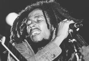 Fotografi Bob Marley Performs On Stage, Express Newspapers