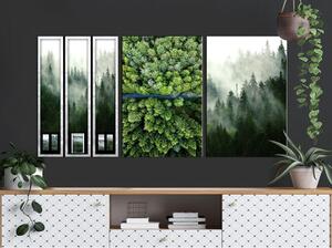 Canvas Tavla - Forest (Collection) - 60x30