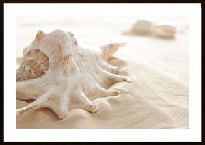 Seashell In Sand Poster