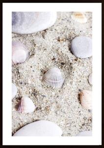 Seashell In Sand 3 Poster