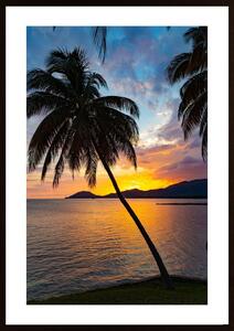 Silhouette Palm Tree Poster