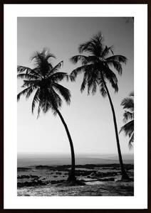 Vacations Black & White Poster