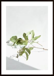 Green Plant 2 Poster
