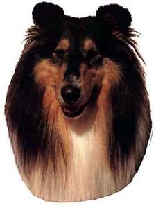 Hunddekal - Collie tricolour (huvud)
