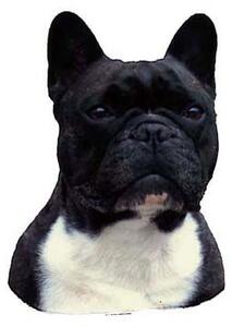 Hunddekal - Fransk bulldogg (huvud)