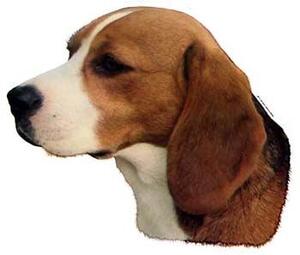 Hunddekal - Beagle (huvud)