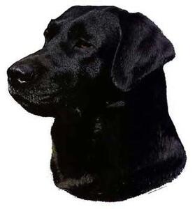 Hunddekal - Labrador svart (huvud)
