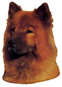 Hunddekal - Eurasier (huvud)