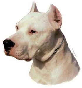 Hunddekal - Dogo Argentino (huvud)