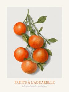 Bildreproduktion Oranges (Watercolour Kitchen Fruit), (30 x 40 cm)