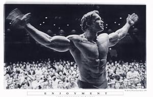 Poster, Affisch Arnold Schwarzenegger - Enjoyment, (91.5 x 61 cm)