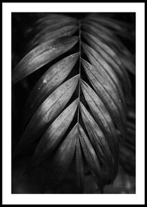 BLACK AND WHITE PLANT 2 POSTER - 21x30