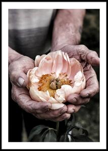 HOLDING A FLOWER POSTER - 70x100