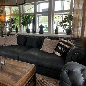 Buffeln Chesterfield | Soffa | Dun | 4-sits | Anilinskinn | Nitar