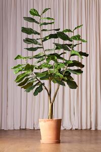 Konstträd | Ficus | 180cm | The Faux Original