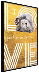 Inramad Poster / Tavla - Cat Love - 20x30 Svart ram